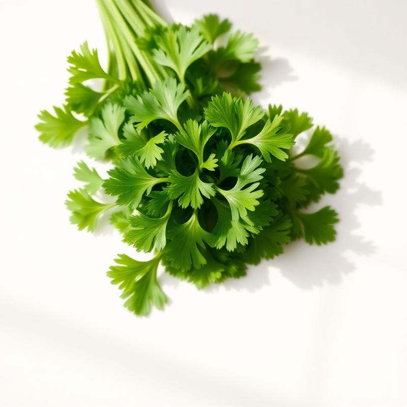 Italian Flat Parsley